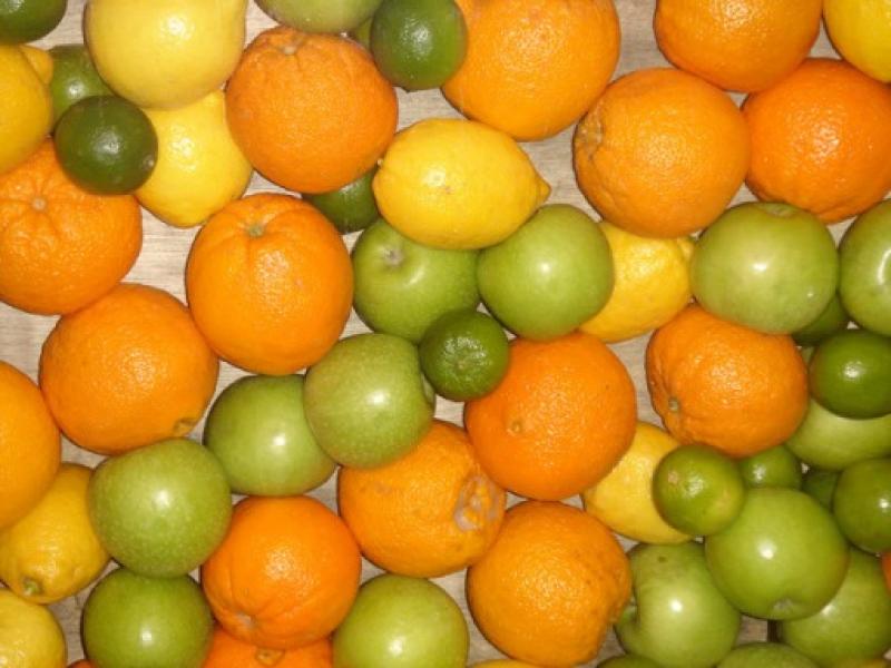 PROCITRUS: EXPORTACIONES DE CÍTRICOS SE INCREMENTARÍAN 10% ESTE AÑO