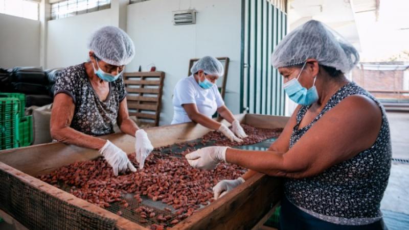 Procompite supera los S/435 millones y proyecta mayor crecimiento en 2026