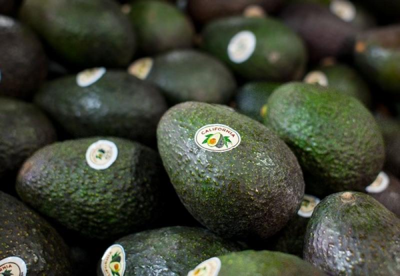 Producción de aguacates en California alcanzaría las 138.799 toneladas en la temporada 2022, lo que supondría un aumento de casi 15%