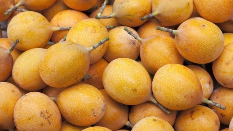 Producción de granadilla alcanzó las 50.853 toneladas en 2025