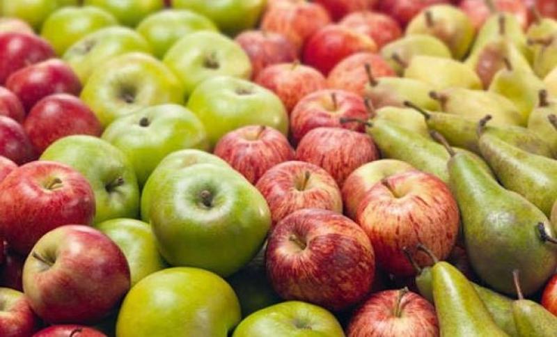 Producción de manzanas y peras del hemisferio norte crecerían 5.58% y 1% respectivamente en 2023