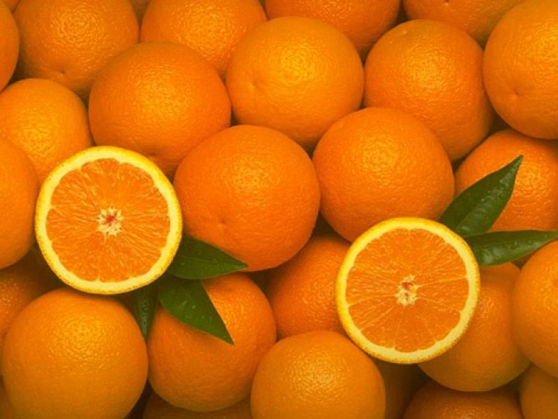 Producción de naranja de México aumentaría 3% este año y alcanzaría las 4.3 millones de toneladas