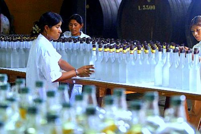 PRODUCCIÓN DE PISCO ASCENDERÍA 7.2 MILLONES DE LITROS AL CIERRE DEL 2013