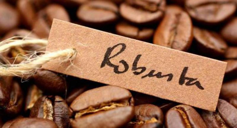 Producción mundial de café Robusta crece aceleradamente