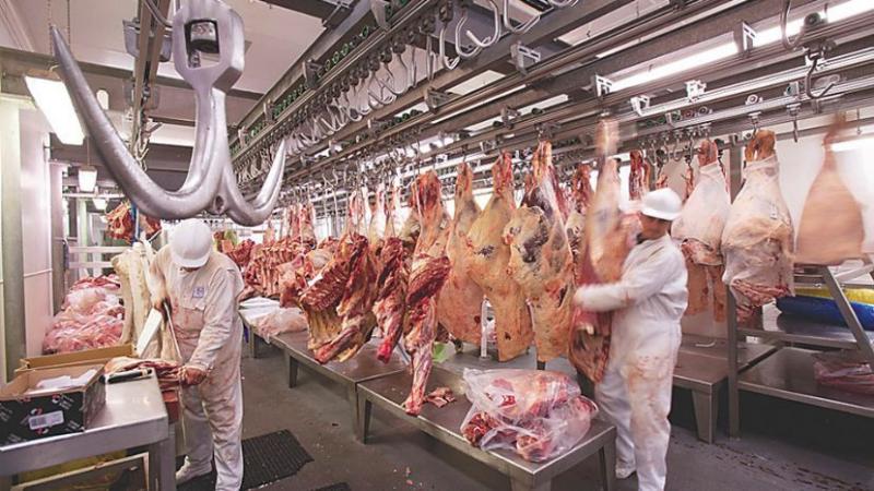 Producción mundial de carne de res alcanzará las 58.6 millones de toneladas, cifra que representa un aumento de 0.9%