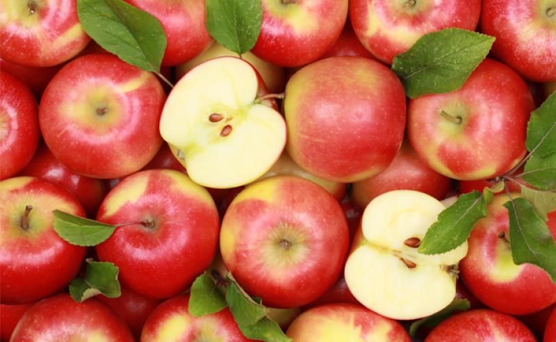 Producción mundial de manzana crecerá en 1 millón de toneladas en la campaña 2021/2022