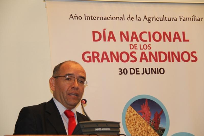 Producción nacional de granos andinos creció 4.5% en el 2019