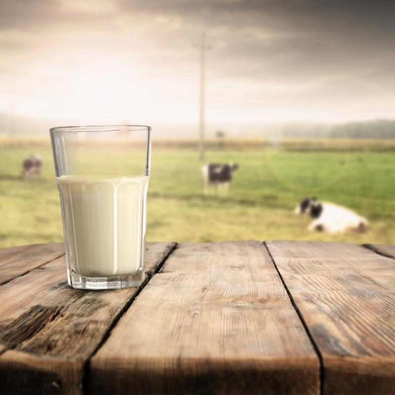 Producción nacional de leche alcanzaría los 2.7 millones de toneladas el 2021