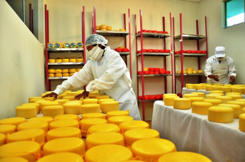 Producción nacional de quesos alcanzó las 145.765 toneladas en 2022, mostrando un incremento de 15% frente al año previo