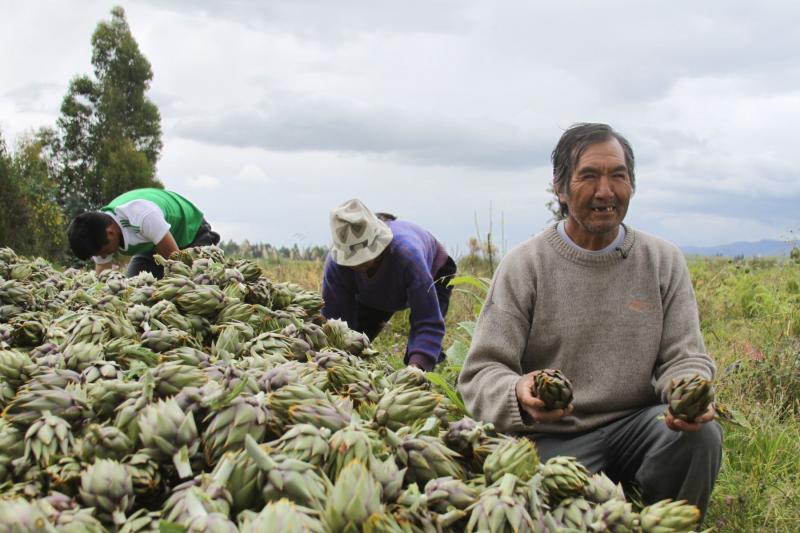 Producción nacional disminuyó 16.26% en marzo