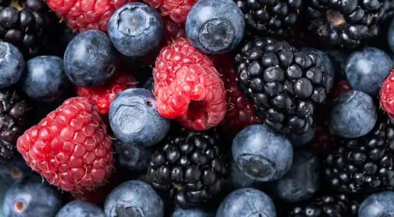 Producción y las exportaciones de berries mexicanas se reducen en volumen