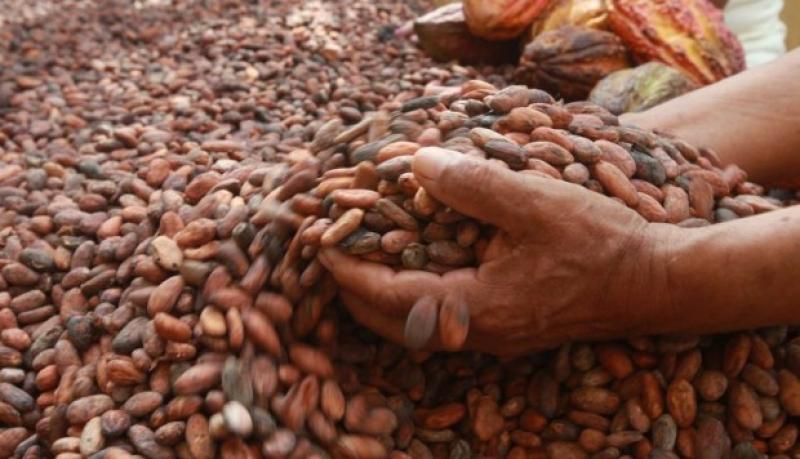 Produce instala grupos técnicos para el desarrollo de cadenas productivas