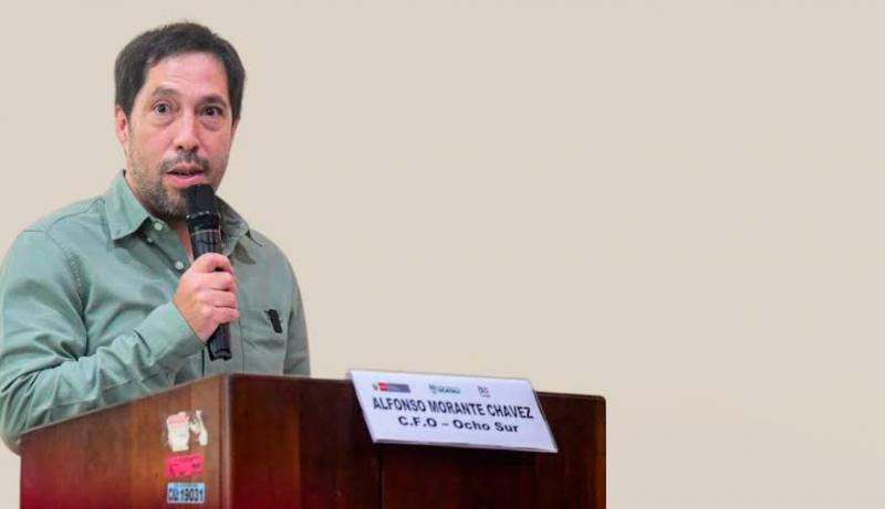 Productividad de palma aceitera en Perú es 57% mayor al promedio mundial