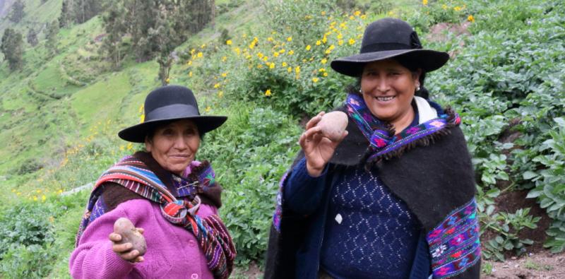 Productores agrícolas del Ande peruano fueron beneficiados con iniciativa promovida por Naciones Unidas y el CIP que favorece la innovación