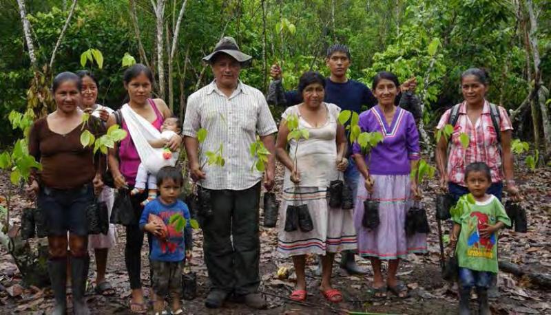 Productores apuestan por la reconversión de la caficultura peruana a través de la agroforestería como sistema de jubilación