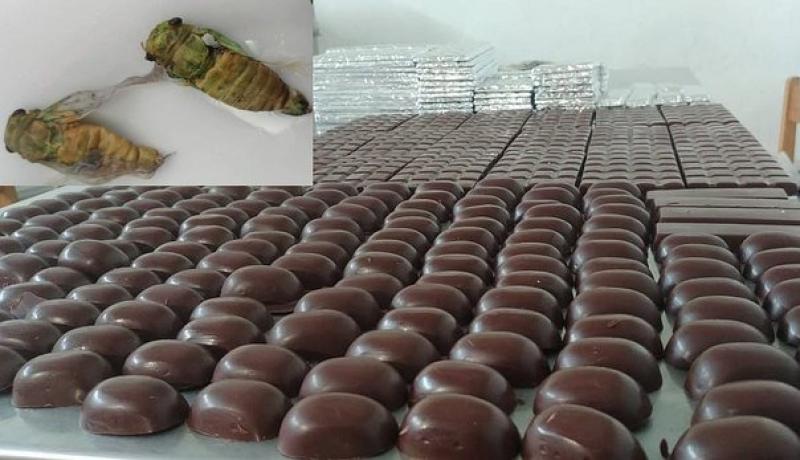 Productores crean chocolate a base de suri y chicharra para combatir la anemia