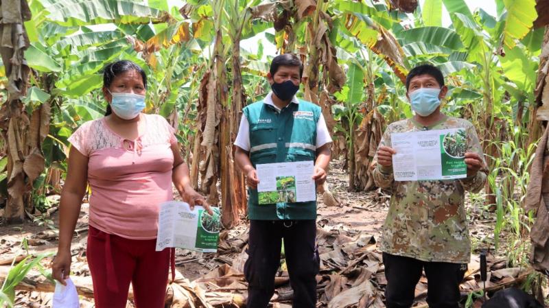 Productores de selva central articulan acciones para evitar el ingreso de Fusarium Raza 4 Tropical