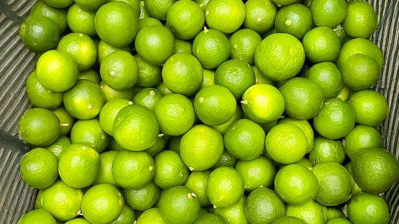 Productores de Tumbes inician envíos de limón Sutil al mercado mayorista de Santa Anita