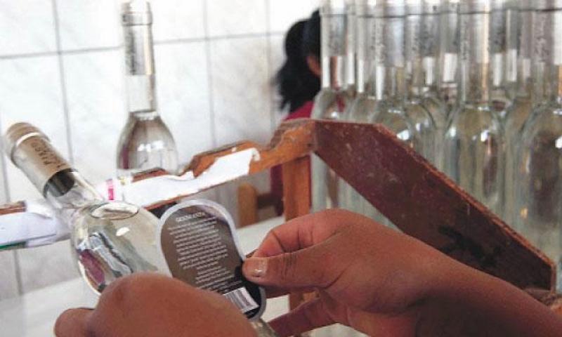 Productores inescrupulosos destilan uva Red Globe y la hacen pasar como pisco afectando el mercado