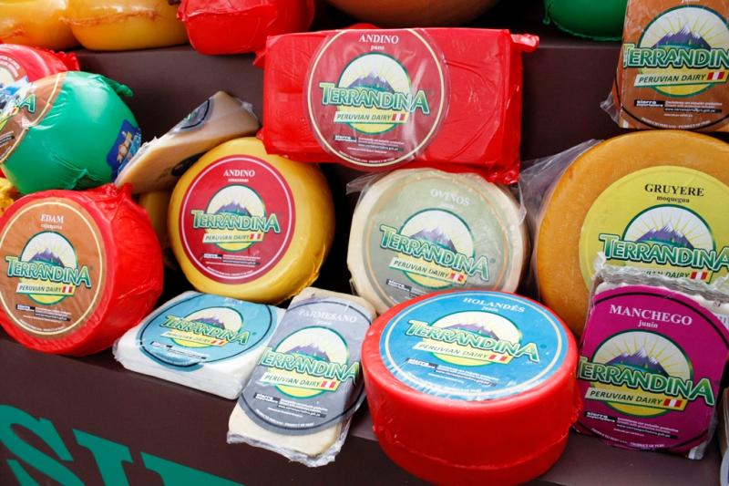 Productores lácteos recibieron capacitación para elaborar quesos “Terrandina”