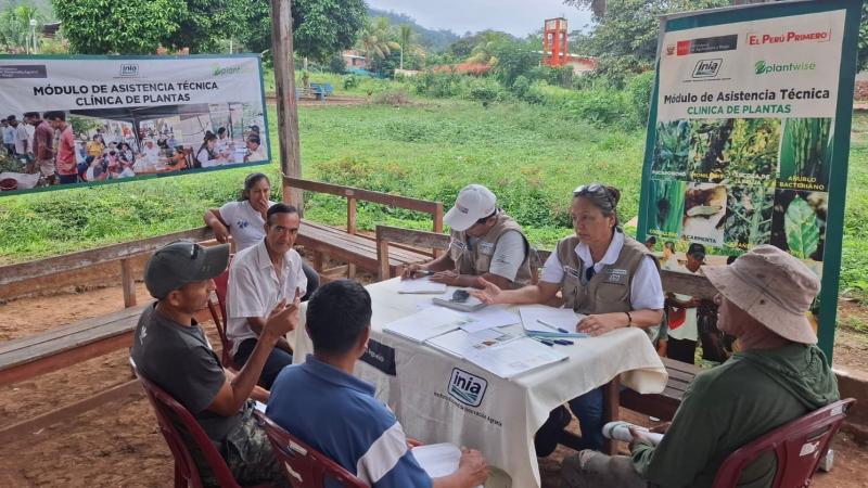 Productores reducen pérdidas de cultivos con tecnologías orgánicas en Junín