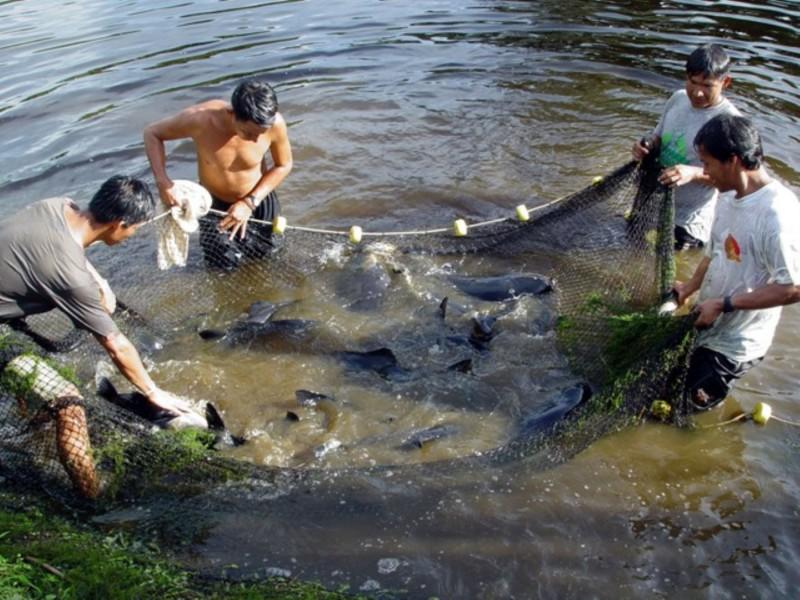 Productos peruanos de pesca y acuicultura llegaron a más de 100 países