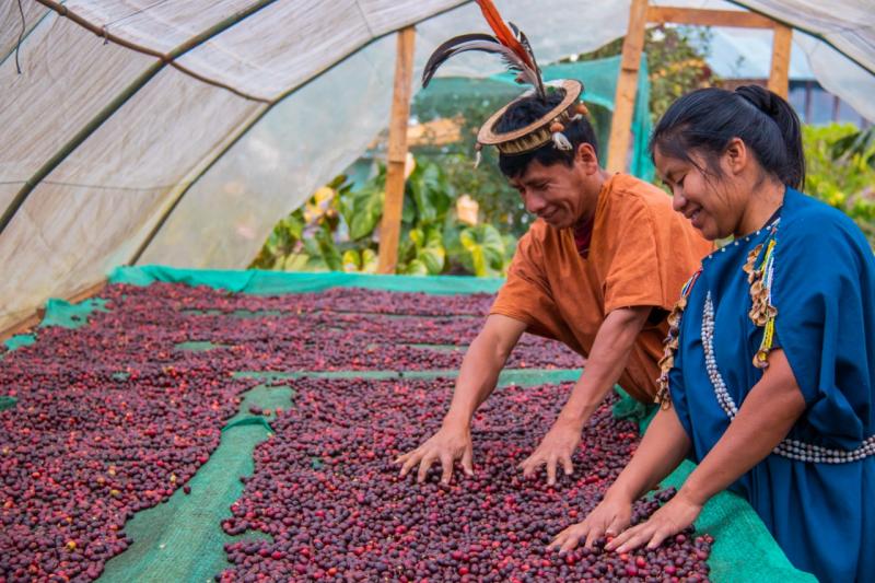 Promueven café peruano de especialidad en Singapur