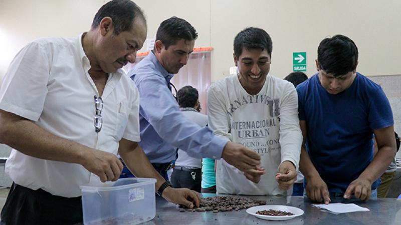 Promueven la obtención de la certificación de competencias técnico productivas en cacao