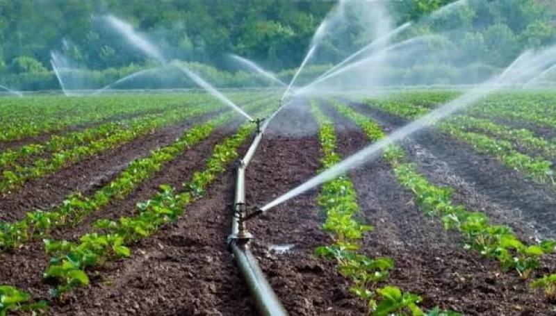 Promueven tecnificación de riego para agricultura familiar en 19 regiones