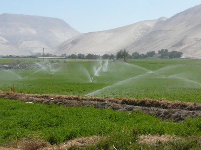 PROMULGAN LEY QUE CREA EL MINISTERIO DE AGRICULTURA Y RIEGO 