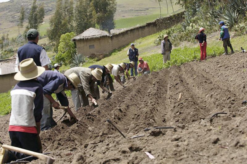 PROPIEDAD AGRÍCOLA SERÍA REDUCIDA