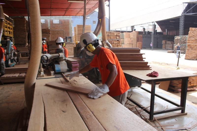 Proponen utilizar madera de la Amazonía para la reconstrucción del norte peruano