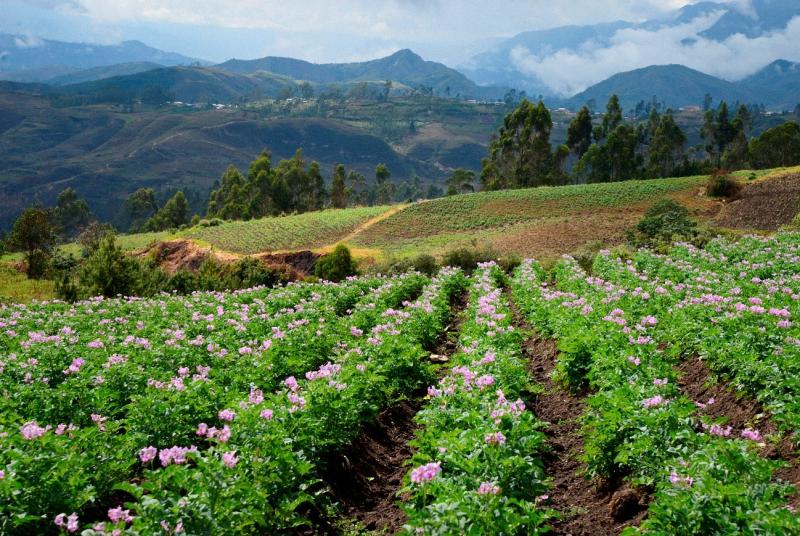 Protec de la mano con los agricultores