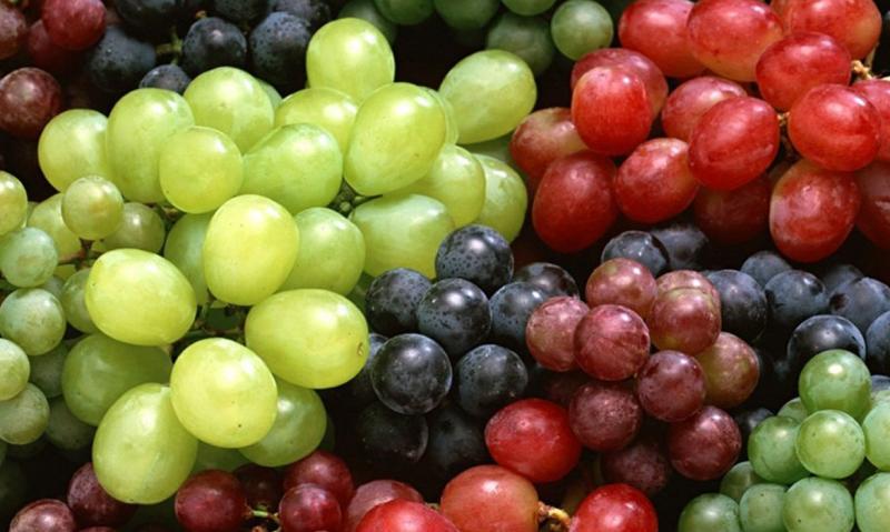 Provid se incorpora a Asociación de Exportadores de Frutas Frescas del Hemisferio Sur
