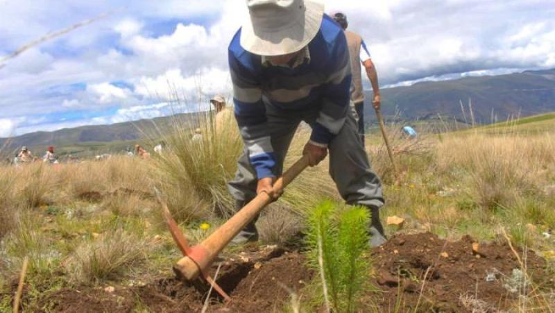 Proyecto “Andes Resilientes al Cambio Climático” beneficia a más de 83 mil familias productoras en zonas altoandinas