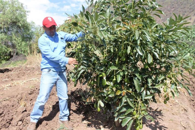 PROYECTO DE PALTO BENEFICIARÁ A MÁS DE 500 FAMILIAS AYACUCHANAS