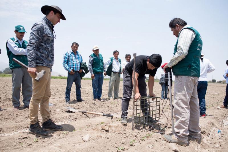 Proyecto Perú Smart Agro 4.0 mejorará productividad de algodoneros del país