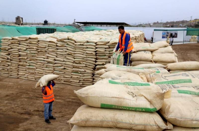 Puno: agricultores de Sandia reciben más de 2.300 sacos de guano de isla