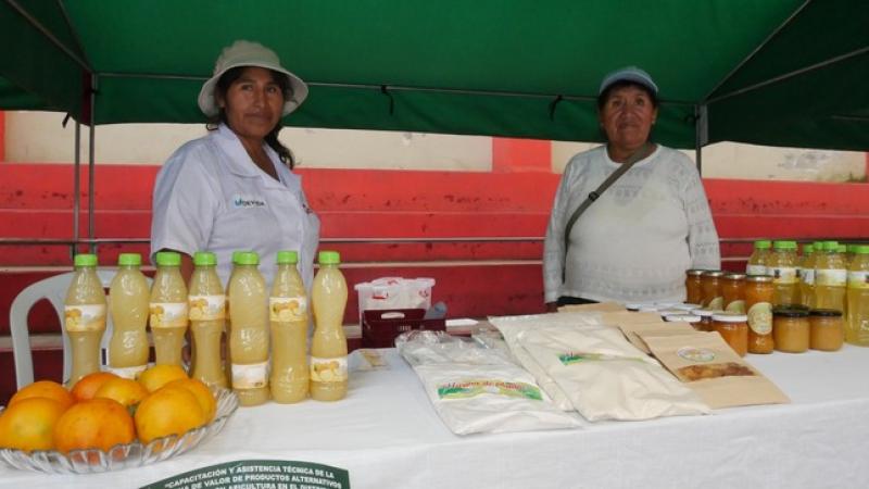 Puno: desarrollan feria para impulsar economía de agricultores y apicultores de San Gabán