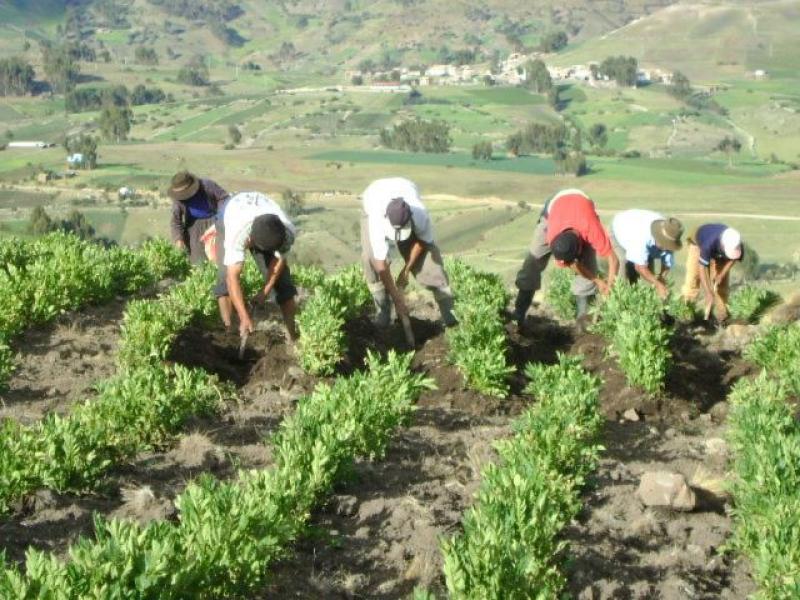 PUNO: PRECIOS DE PRODUCTOS DE PRIMERA NECESIDAD SE INCREMENTAN