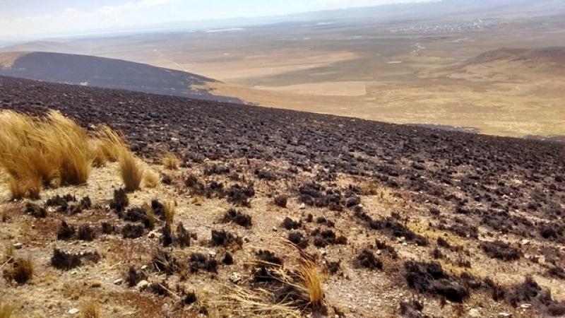 Quema de pastizales habría ocasionado incendio que afectó más de 400 mil hectáreas del Santuario Histórico de Chacamarca