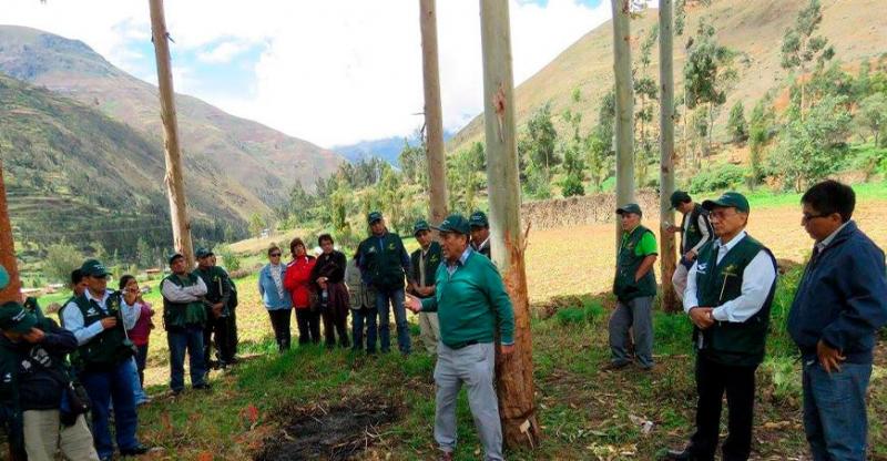 Realizarán pasantía técnica para conocer el cluster foresto-industrial en la selva central
