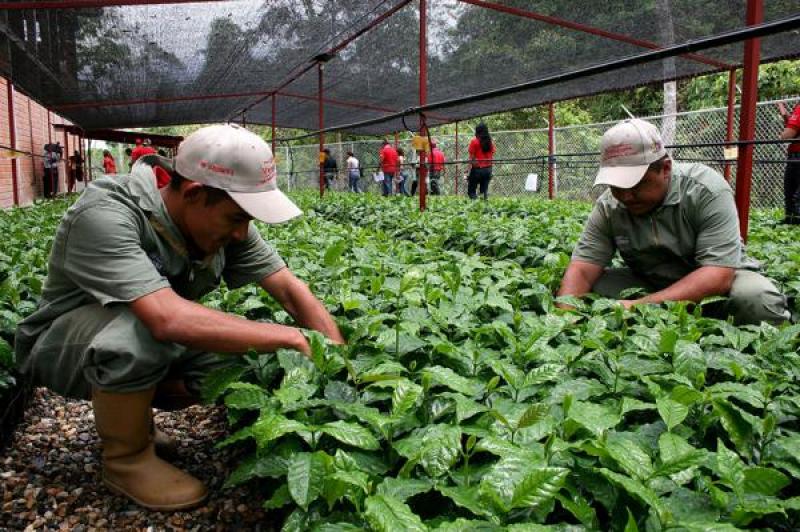 Realizarán primer foro regional sobre agroecología en la Municipalidad Distrital de San Borja