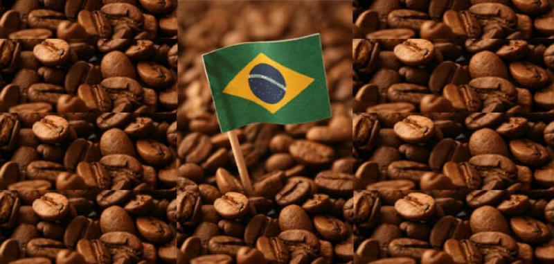 Rebajan previsión para la cosecha brasileña de café en 2023 por caída del robusta
