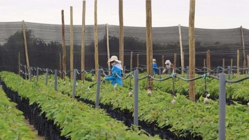 Reducir la burocracia, eliminar gastos duplicados y frenar la ineficiencia institucional debe ser una prioridad