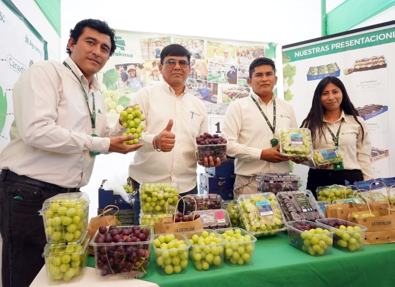 Región Ica se consolida como la primera región exportadora de uva de mesa