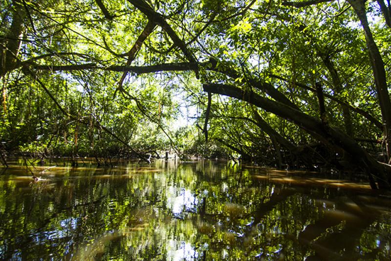 Regiones amazónicas aplicarán tecnología avanzada para elborar mapa de humedales