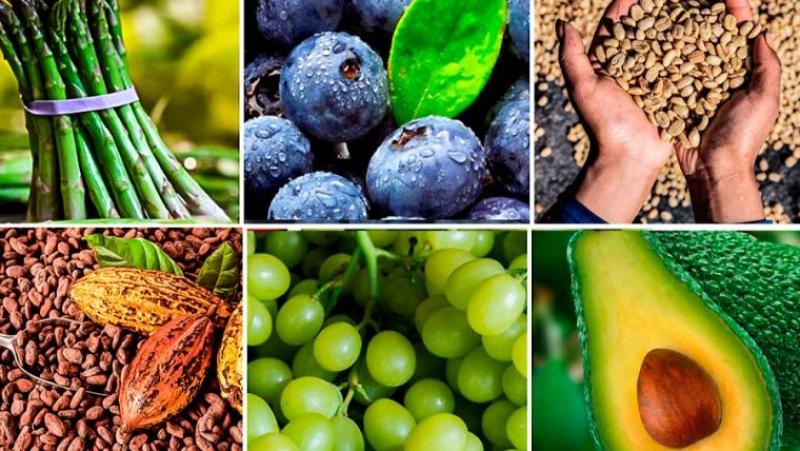 Regiones de selva y costa lideraron agroexportaciones a mercados internacionales entre enero y mayo de 2025