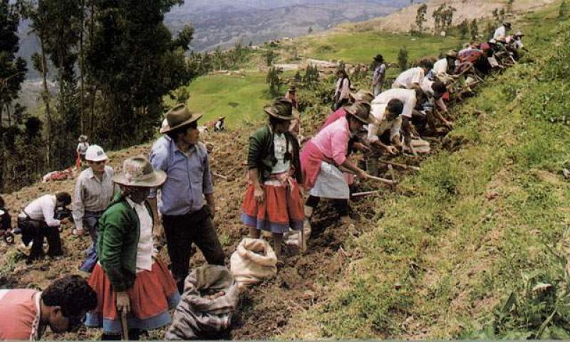 REGIONES SOLO EJECUTARON 59,8% DE PRESUPUESTO DESTINADO AL AGRO