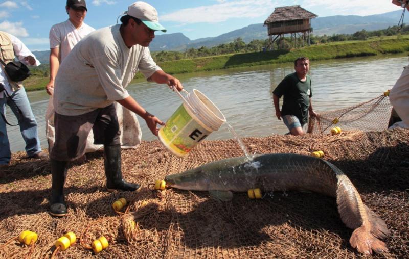 REGIONES SON PRINCIPAL APOYO DEL PLAN DE DIVERSIFICACIÓN PRODUCTIVA